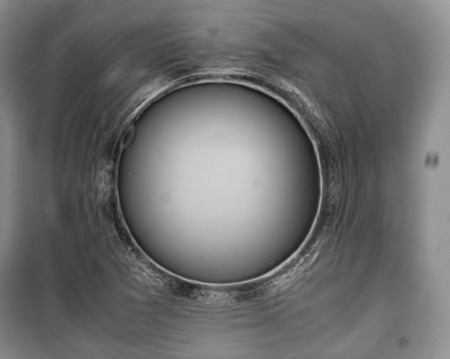 X0000100771361200806261533