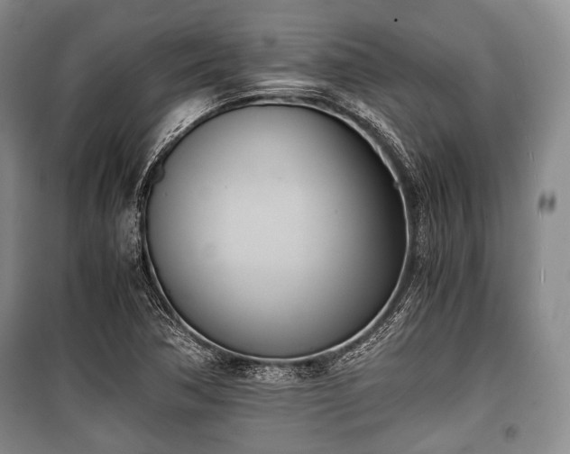 X0000100771362200806261533