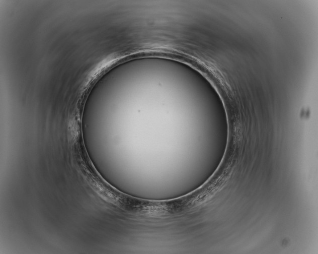 X0000100771363200806261533