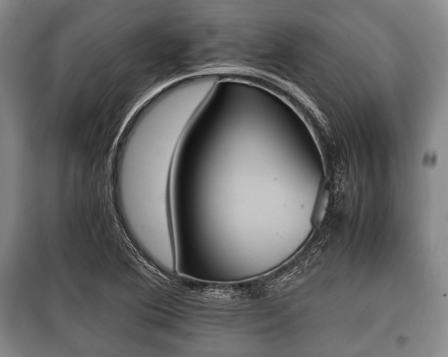 X0000100771364200806261533