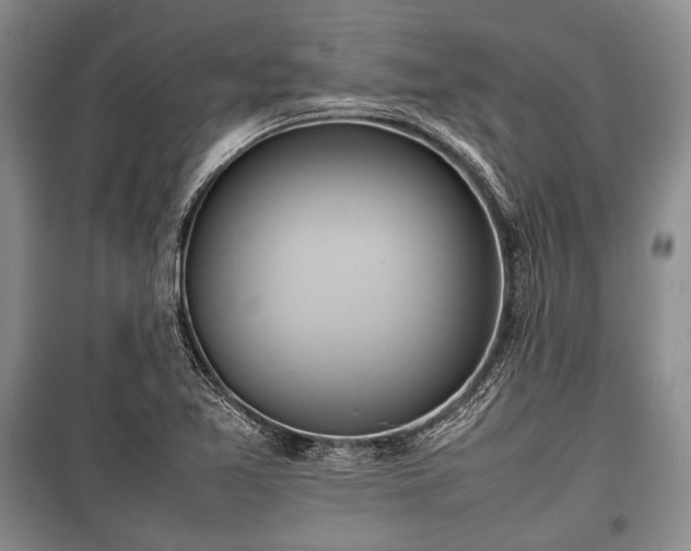 X0000100771365200806261533