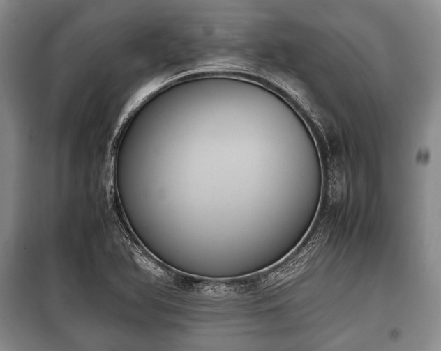 X0000100771366200806261533