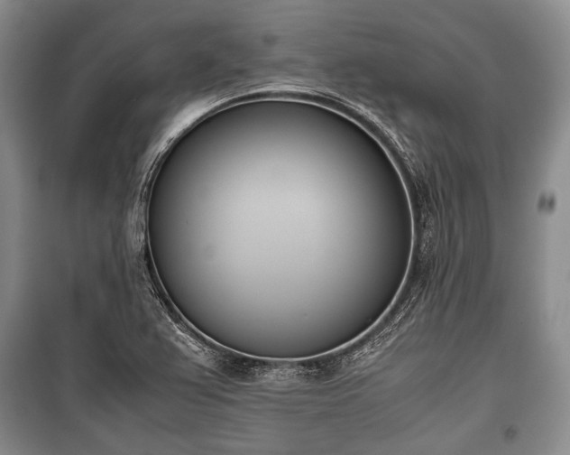 X0000100771367200806261533