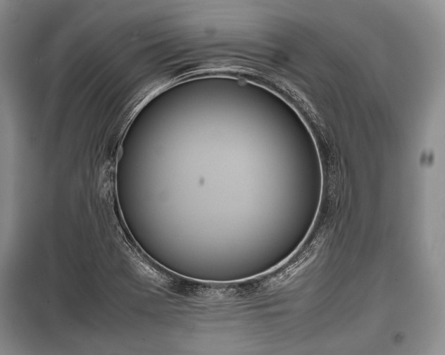 X0000100771369200806261533