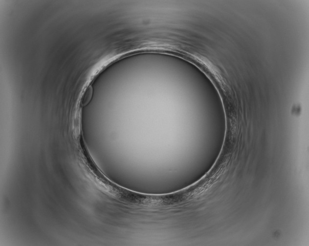 X0000100771371200806261533