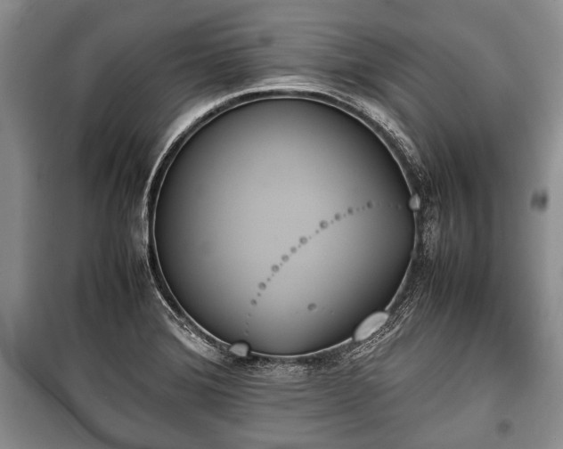 X0000100771372200806261533