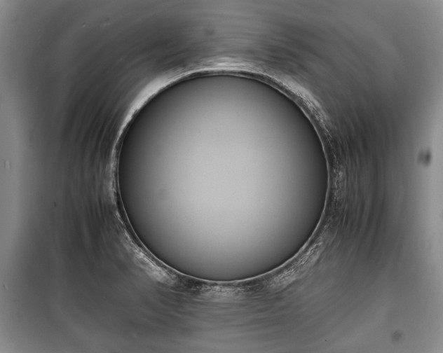 X0000100771374200806261533