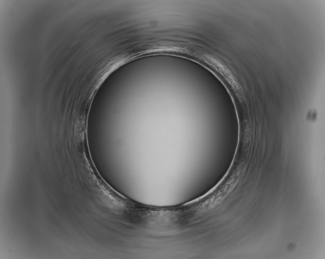 X0000100771377200806261533