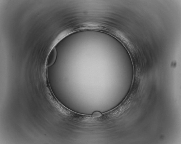 X0000100771378200806261533