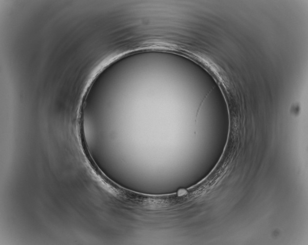 X0000100771379200806261533