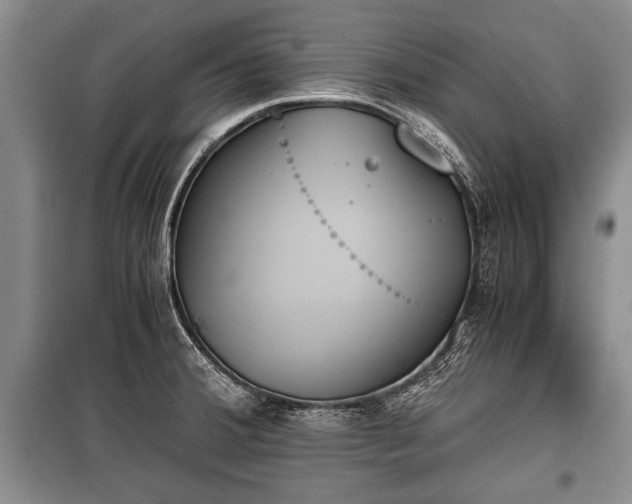 X0000100771380200806261533