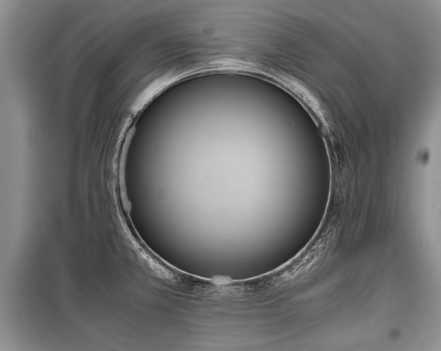 X0000100771381200806261533