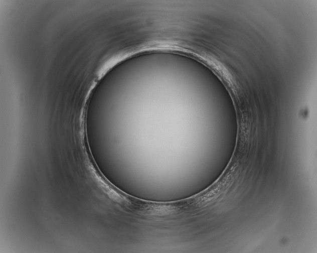X0000100771382200806261533