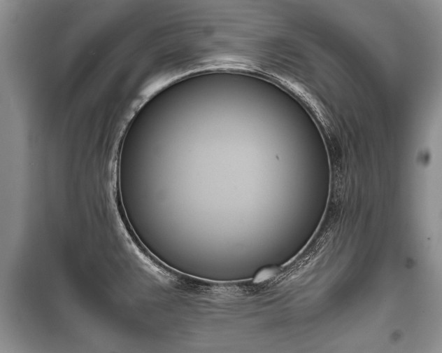 X0000100771383200806261533