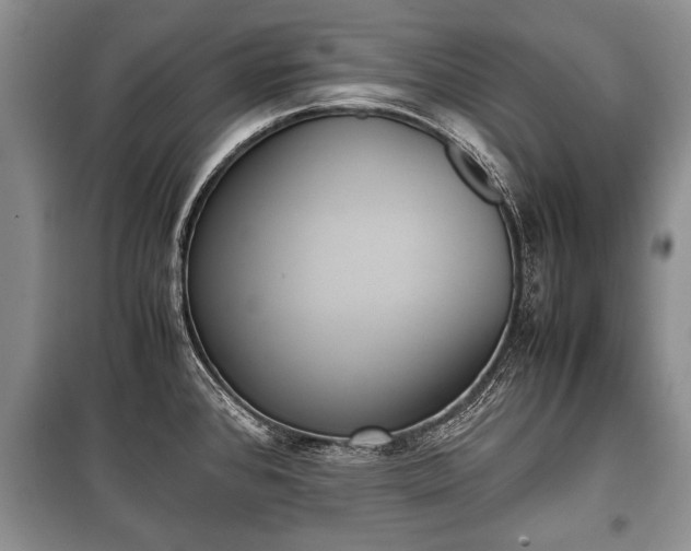 X0000100771384200806261533