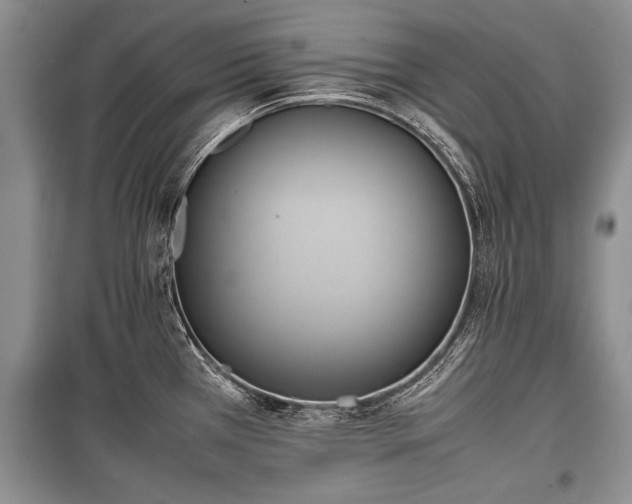 X0000100771385200806261533