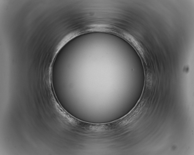 X0000100771386200806261533
