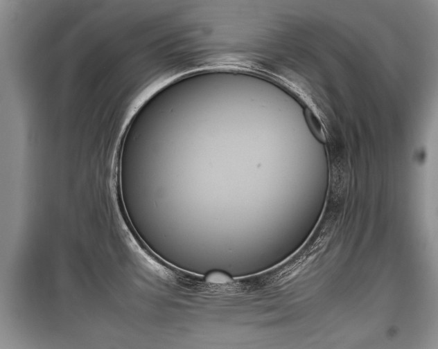 X0000100771387200806261533