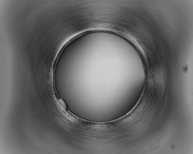 X0000100771388200806261533
