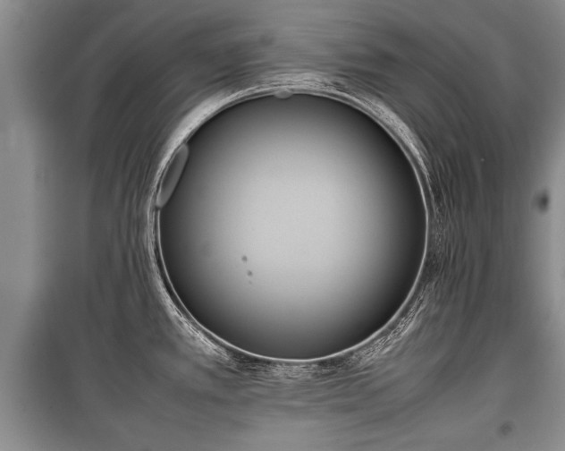 X0000100771389200806261533