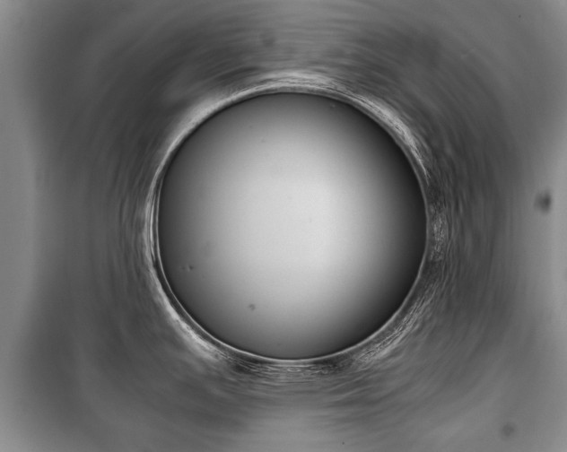 X0000100771391200806261533