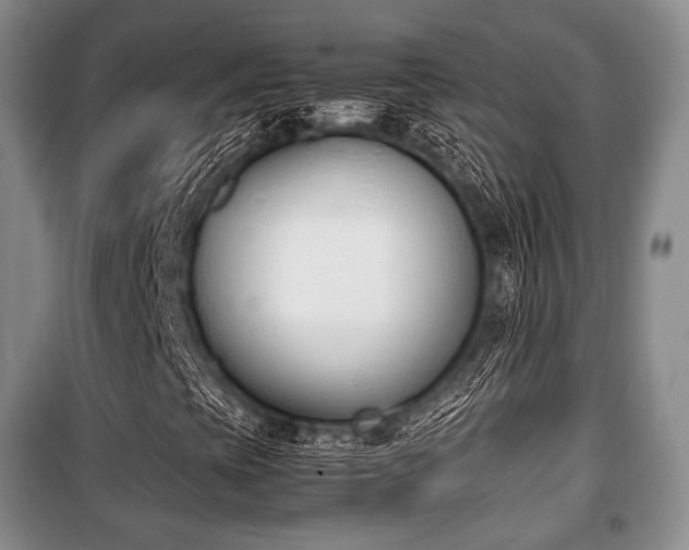 X0000100771393200806261532