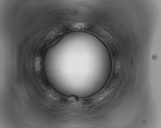 X0000100771394200806261532