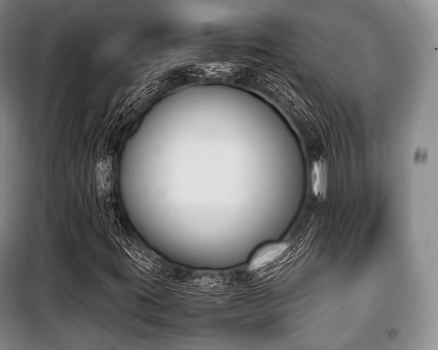 X0000100771395200806261532