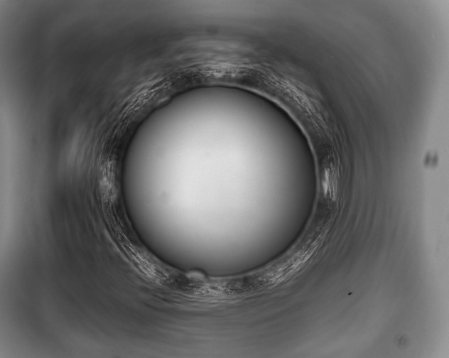 X0000100771396200806261532