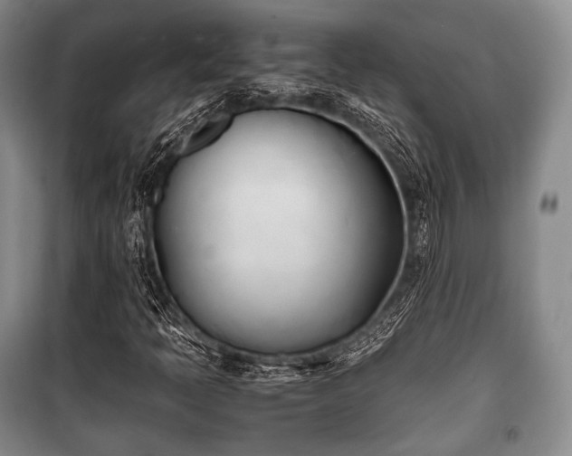 X0000100771397200806261532