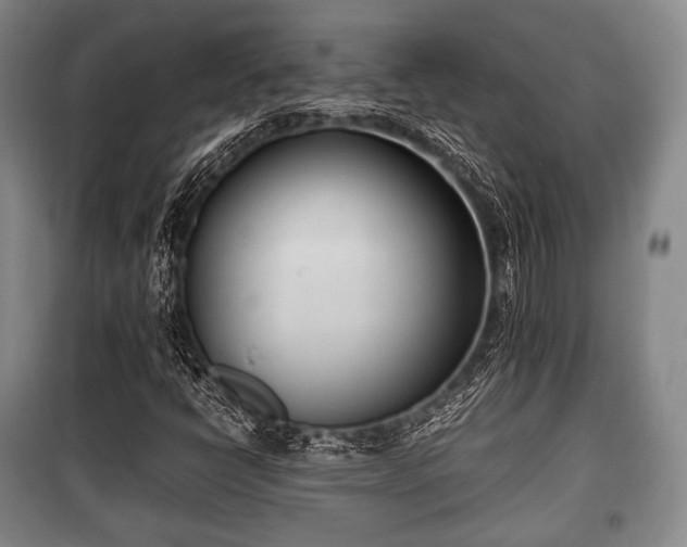 X0000100771398200806261532