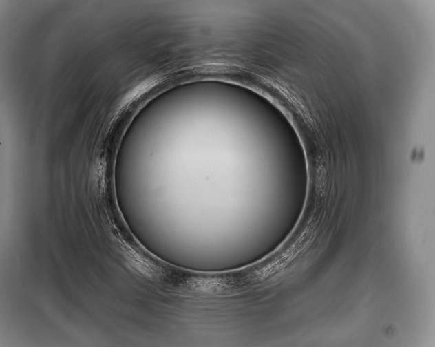 X0000100771402200806261532