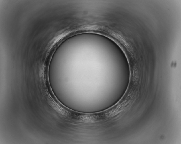 X0000100771404200806261532