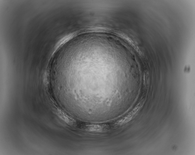 X0000100771405200806261532