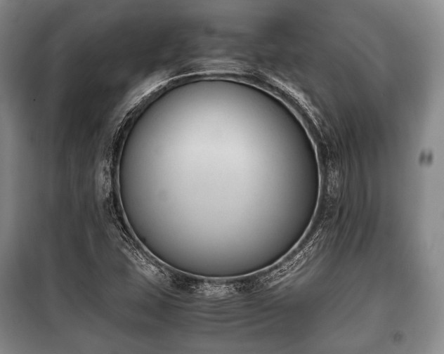 X0000100771407200806261532