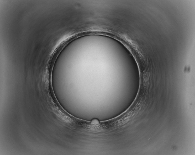 X0000100771408200806261532