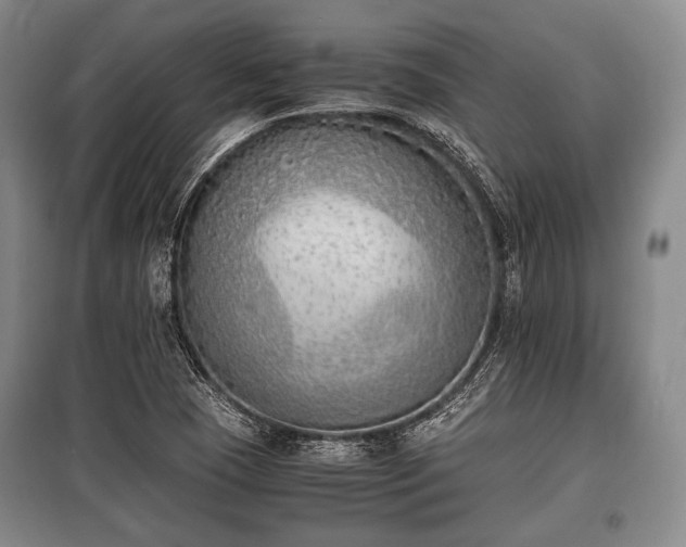 X0000100771409200806261532