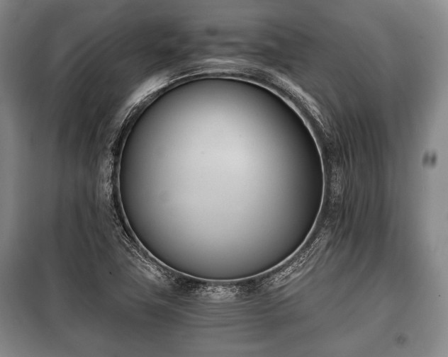 X0000100771411200806261532