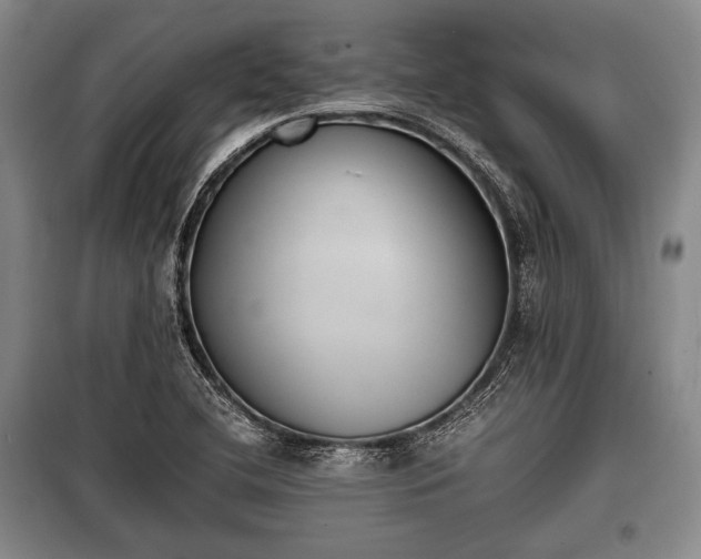 X0000100771412200806261532