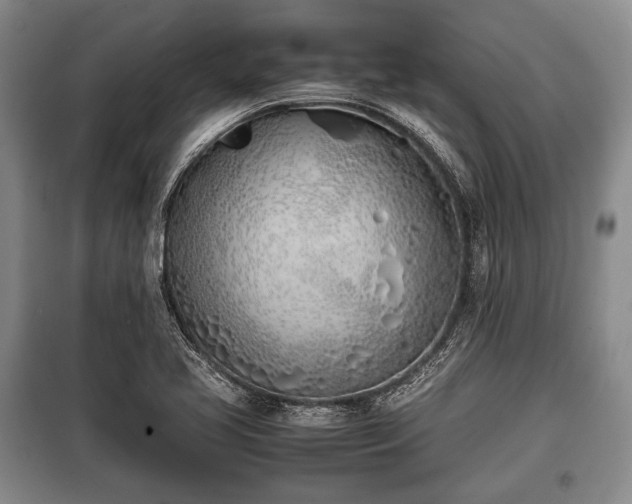 X0000100771413200806261532