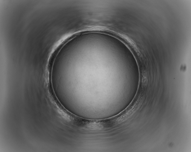 X0000100771414200806261532