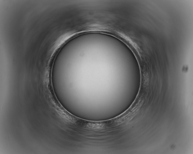 X0000100771415200806261532