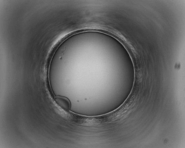 X0000100771416200806261532
