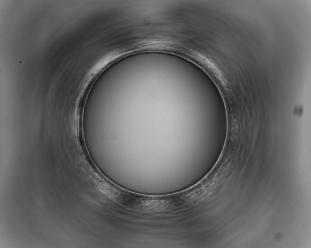 X0000100771419200806261532