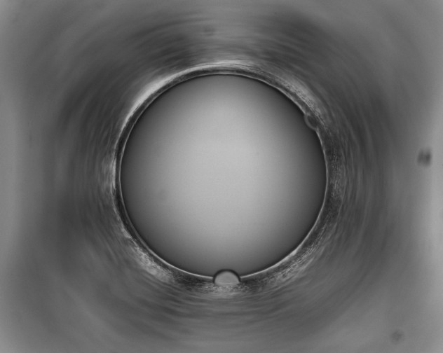 X0000100771420200806261532