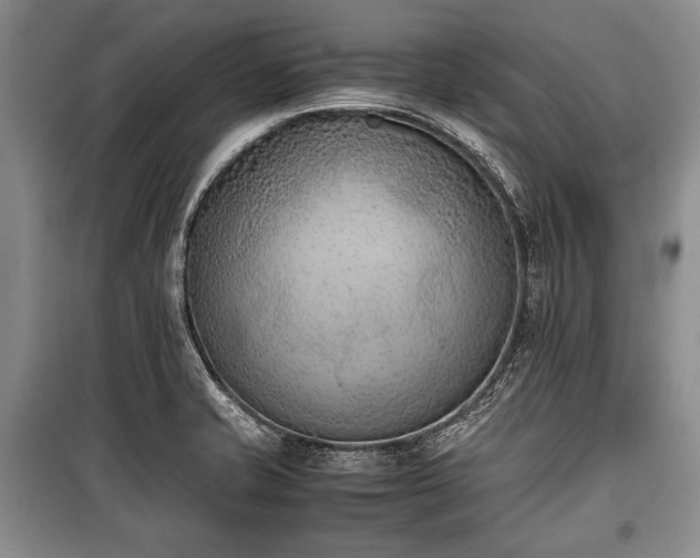 X0000100771421200806261532