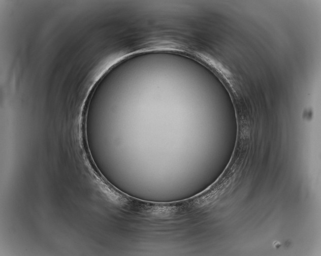 X0000100771423200806261532