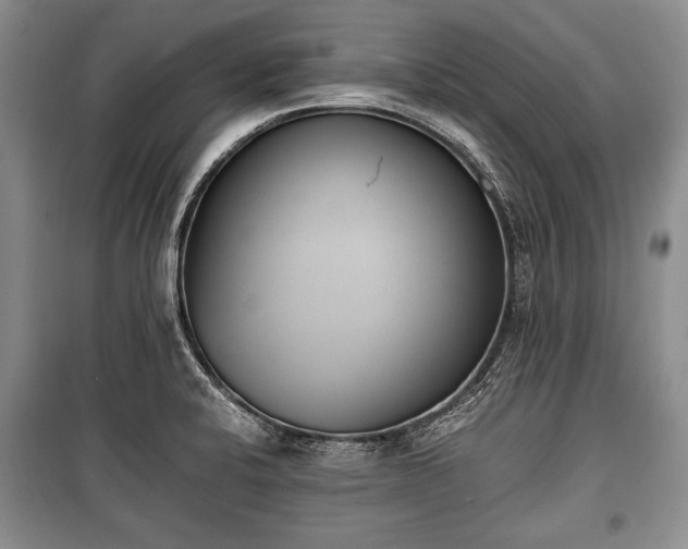X0000100771424200806261532