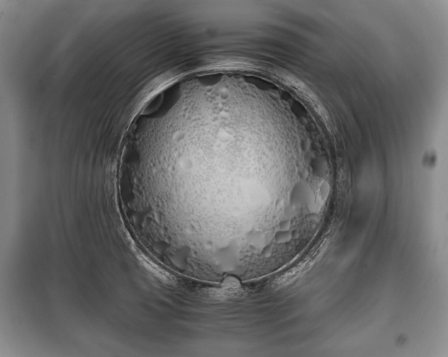 X0000100771425200806261532