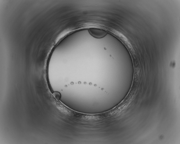 X0000100771427200806261532